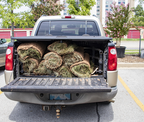 Landscaping materials in the back of a pickup truck